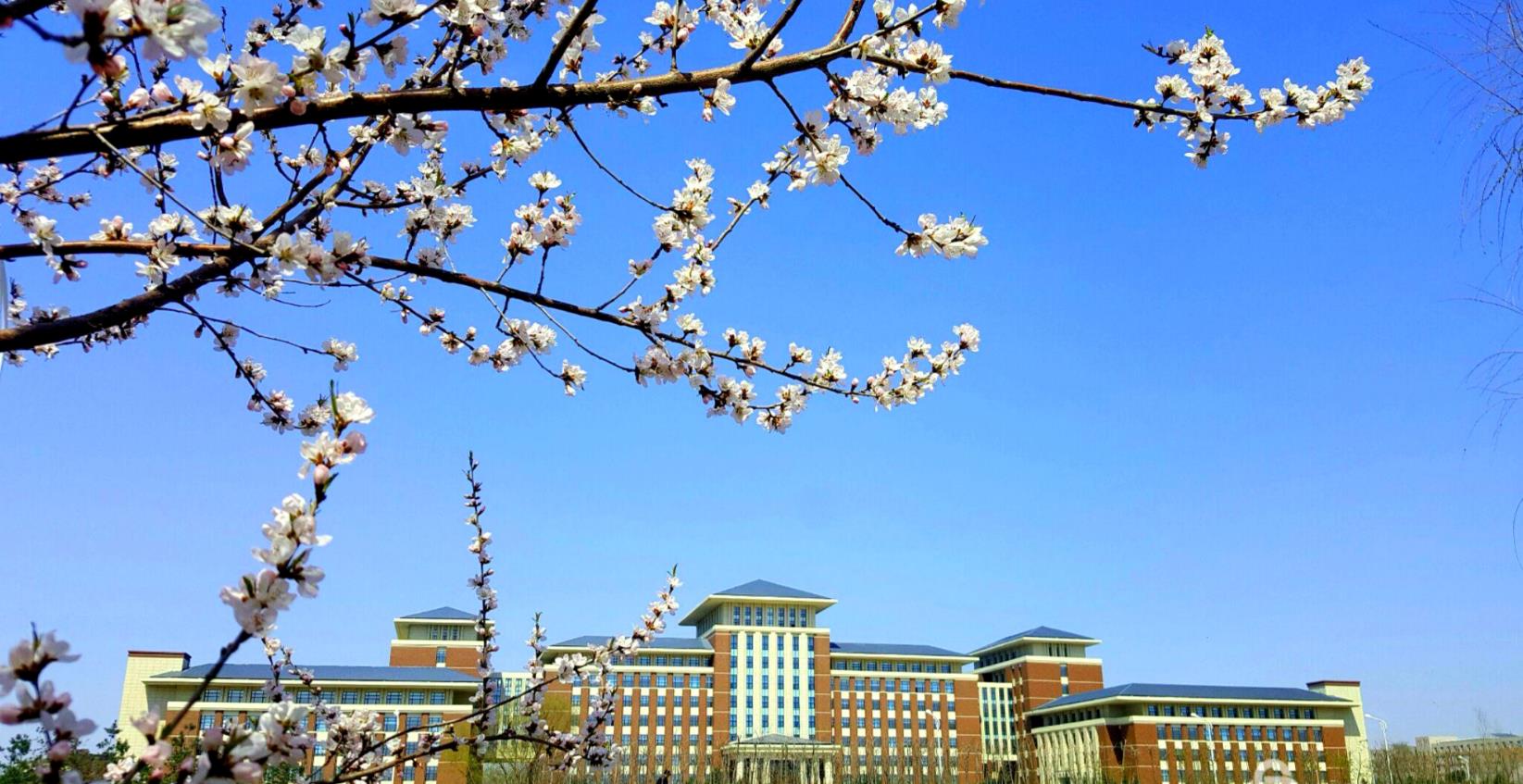 【春】鼎新楼
