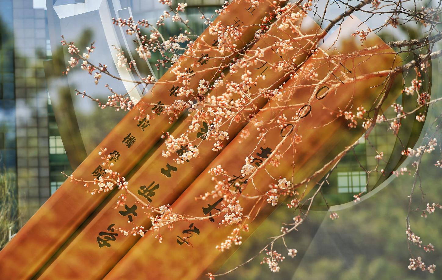 春 (5)