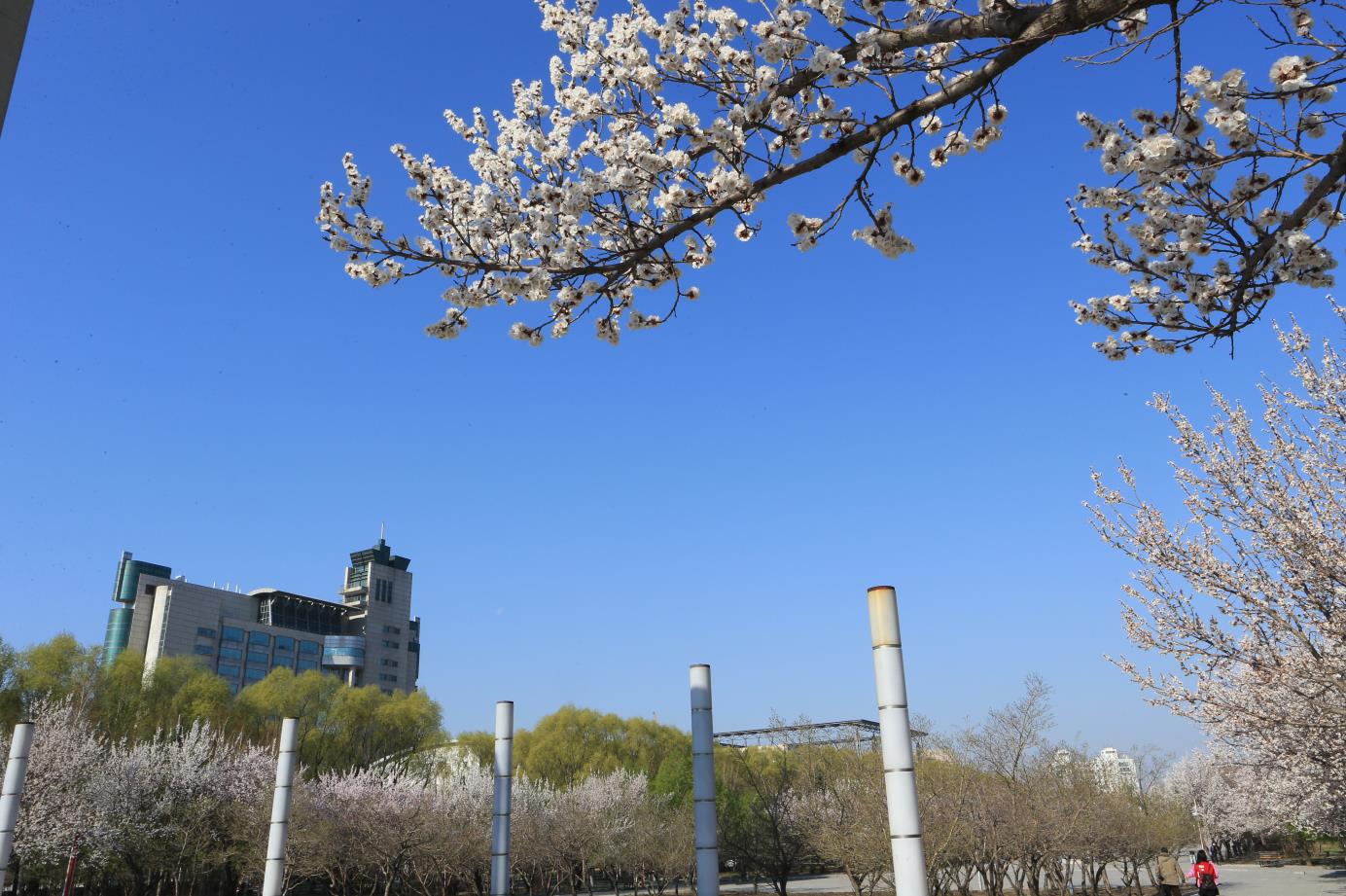 东荣大厦（中心校区）