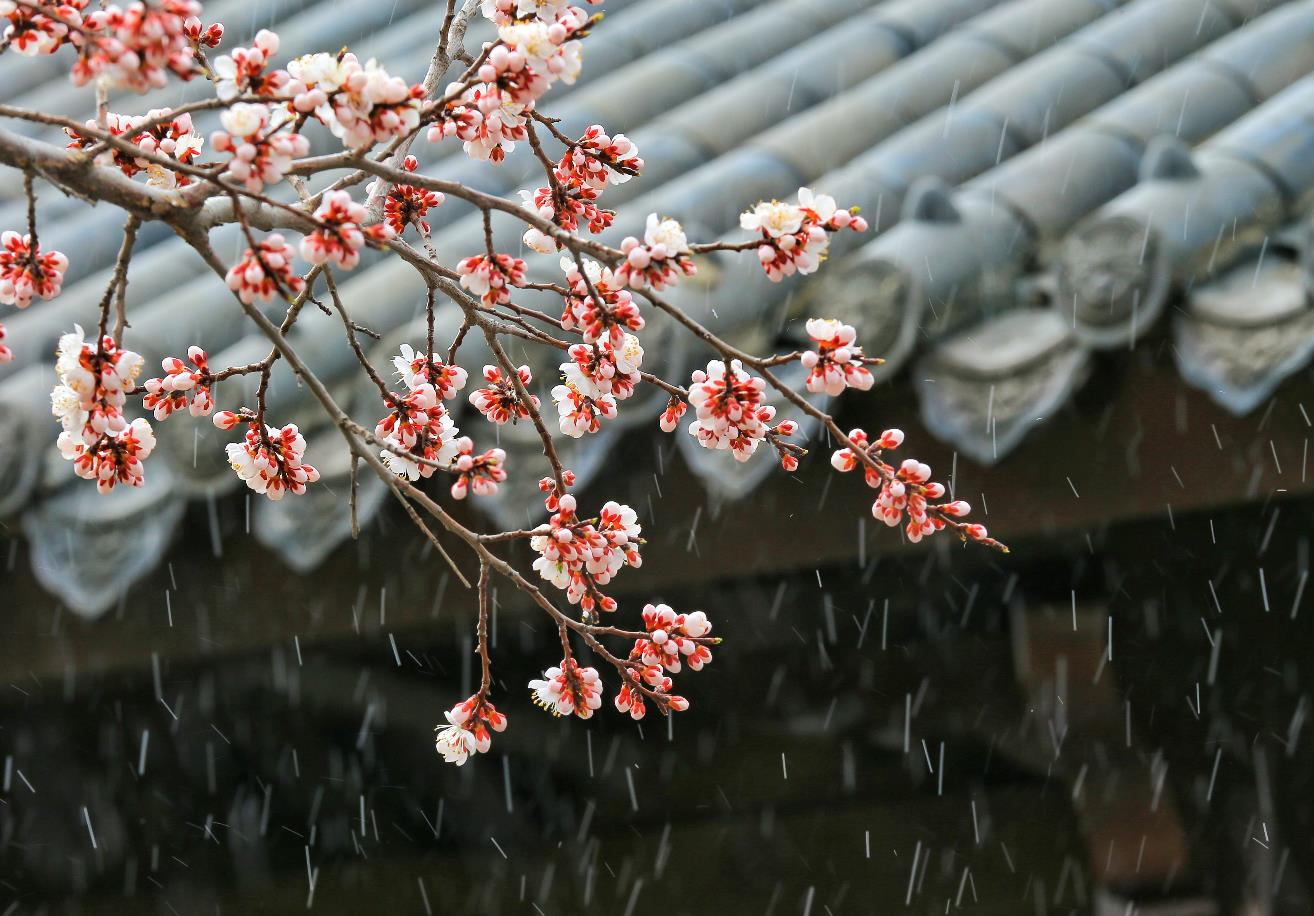 房檐 (1)