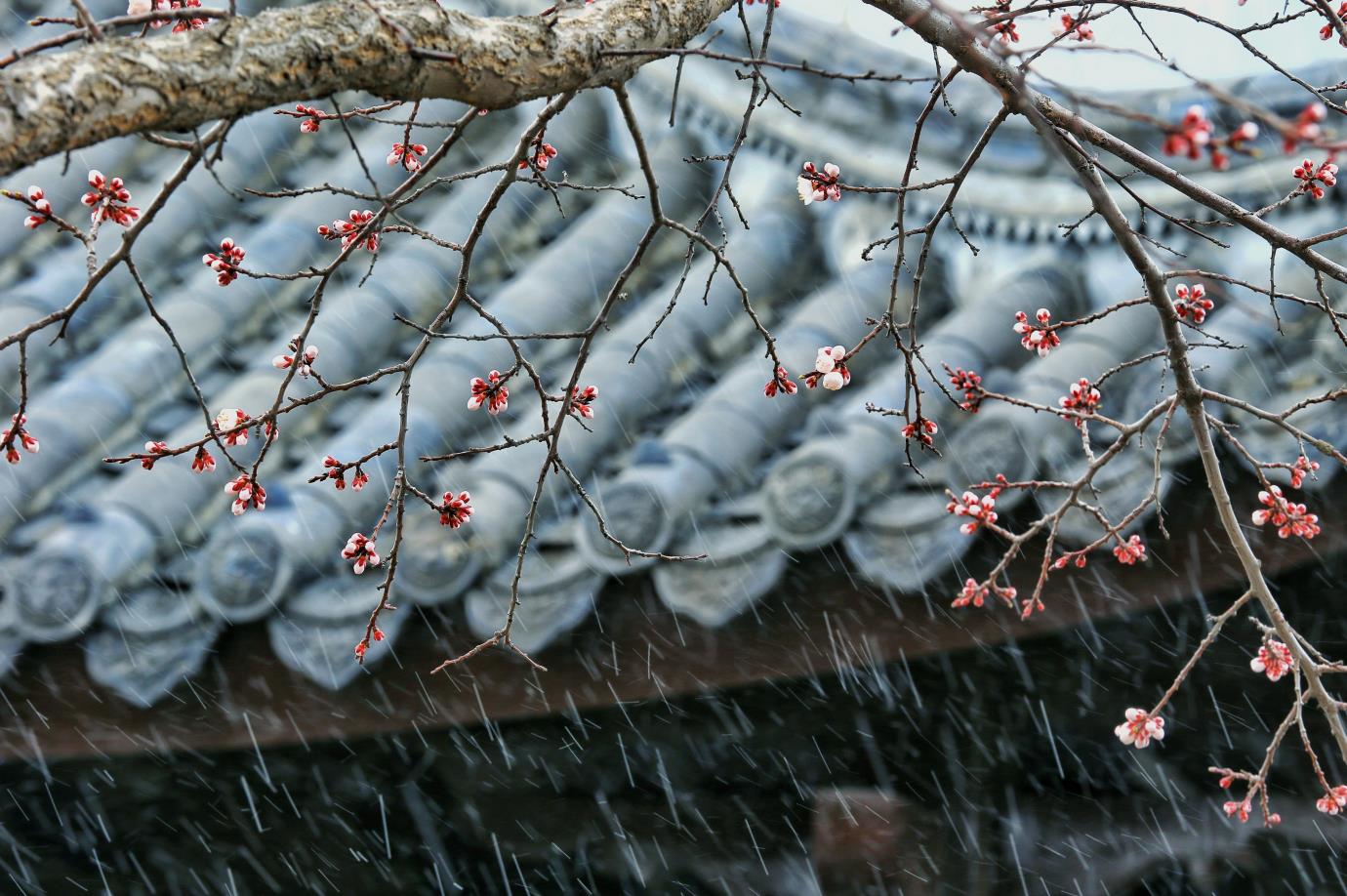 房檐 (2)