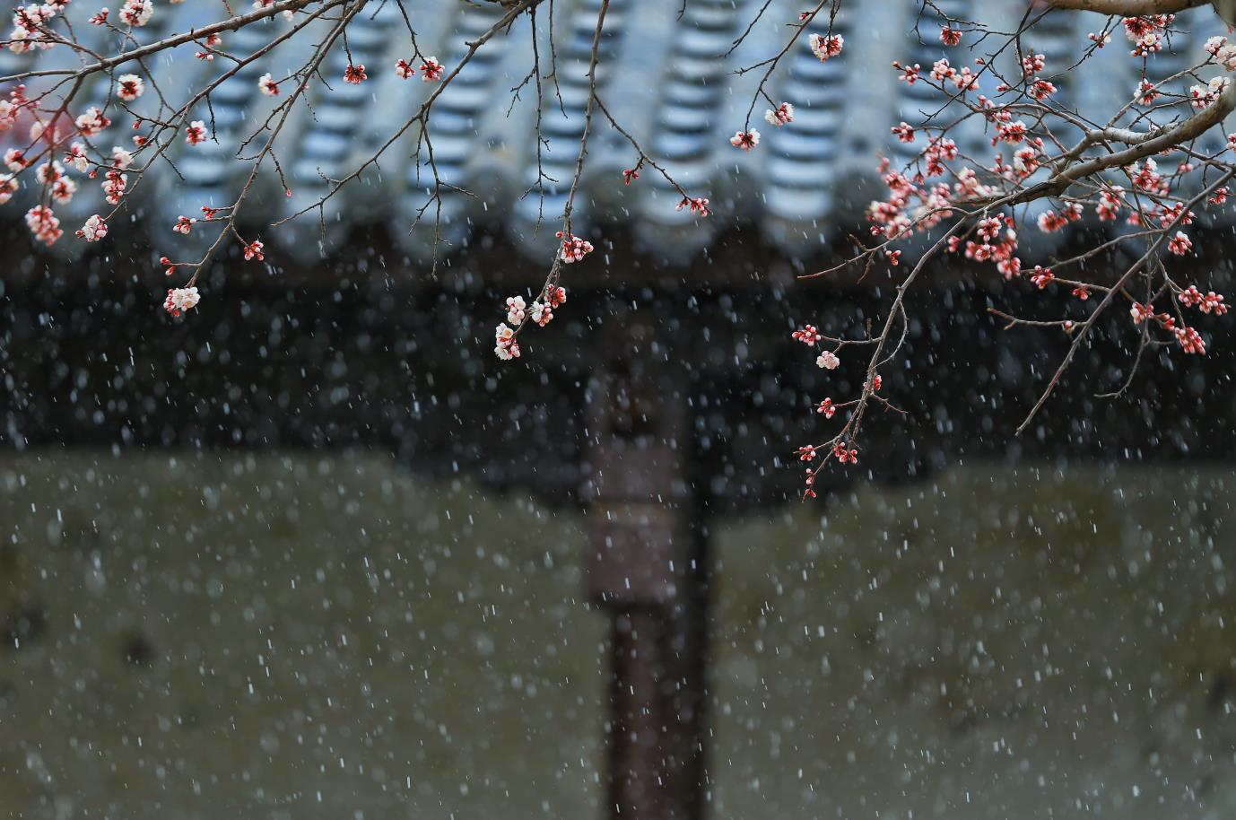 房檐 (4)