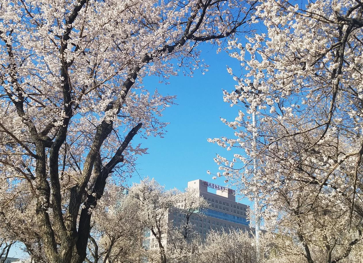 吉林大学第一医院（新民校区）