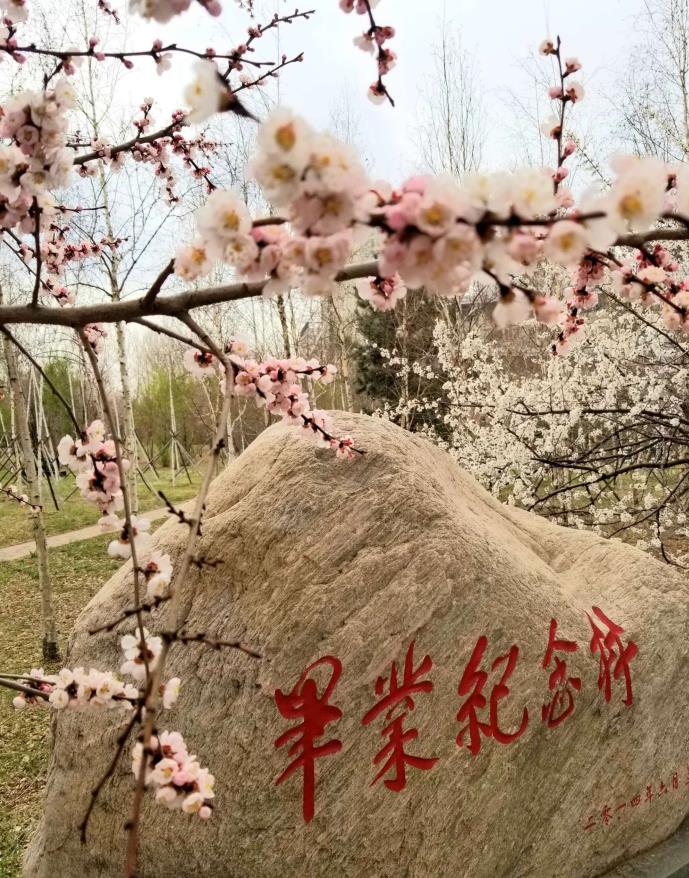 纪念碑（中心校区）