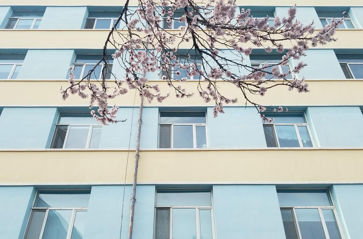 教室（南岭校区）