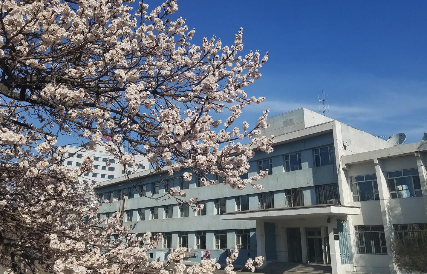 教学楼