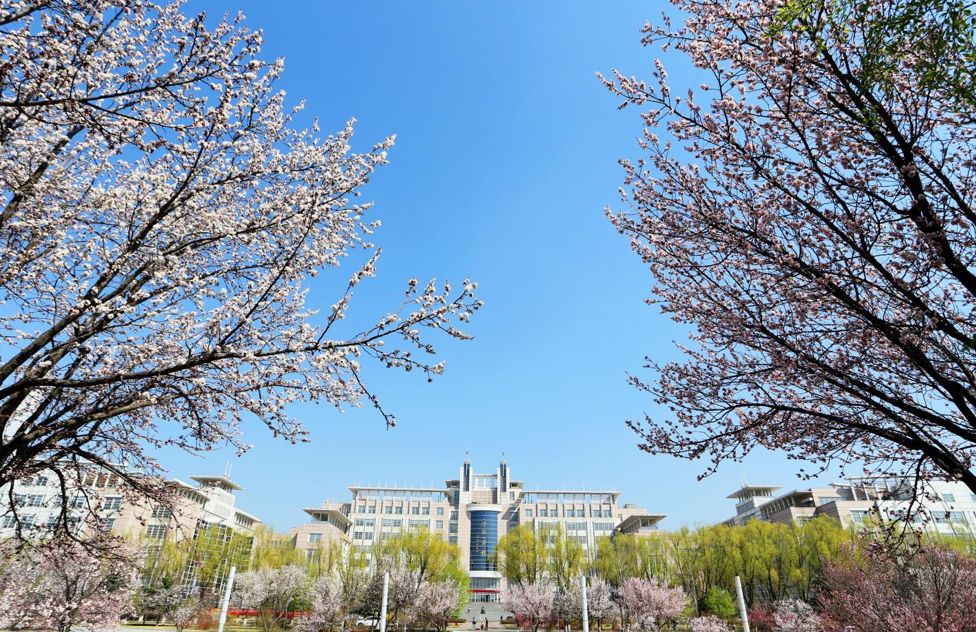 五月花广场（中心校区） (2)