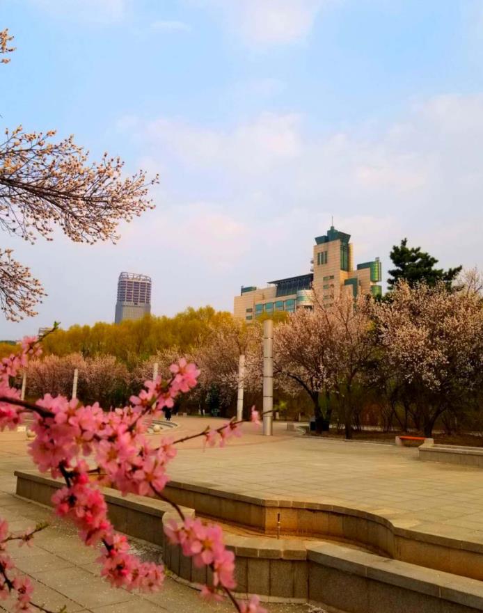 五月花广场（中心校区） (3)