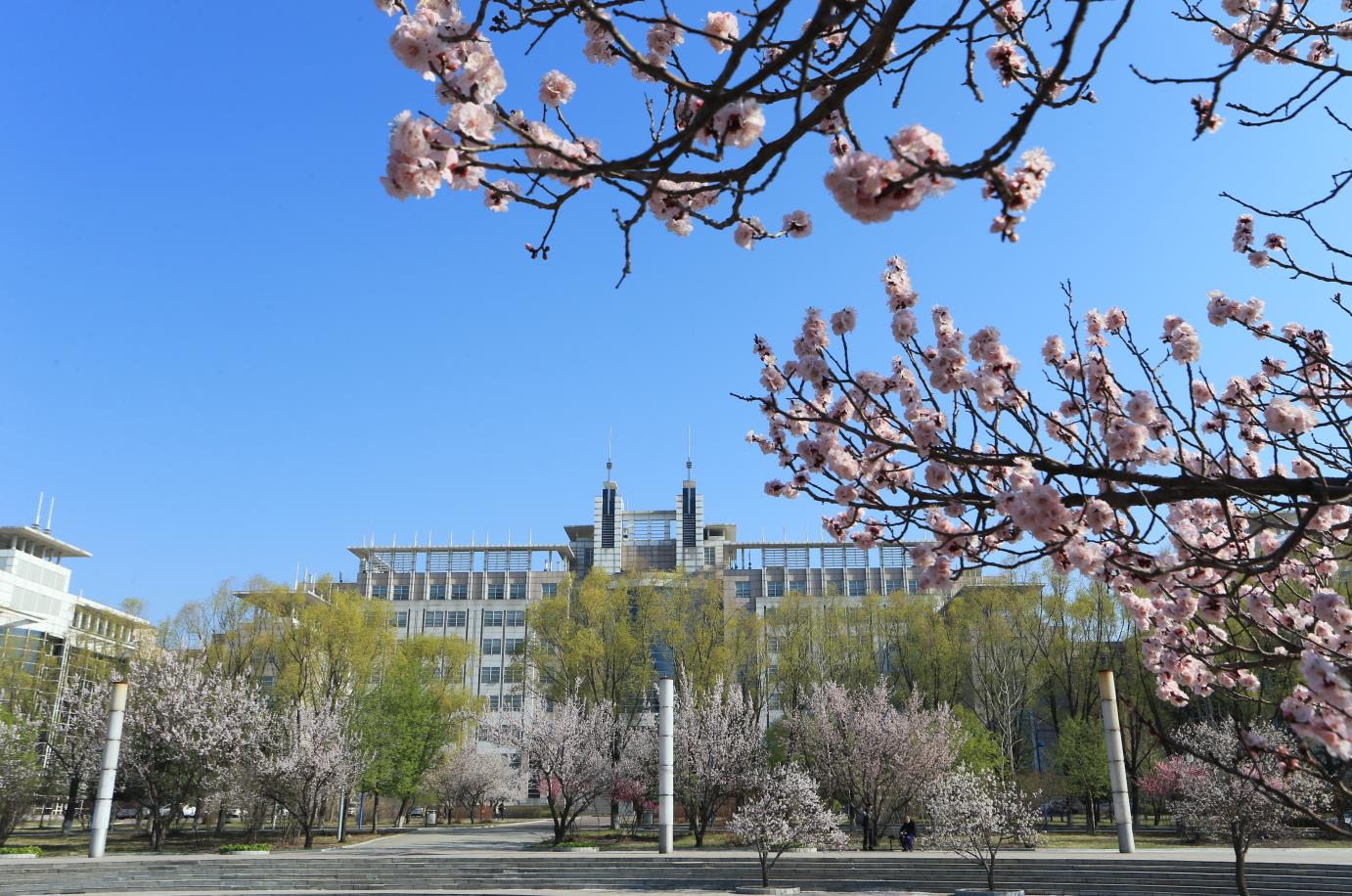 五月花广场（中心校区）